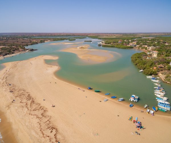 A high shot of beaches surrounded by cruise ships and greenery under a blue sky in Senegal